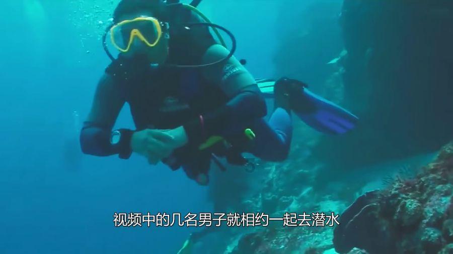 眼镜蛇秘密行动