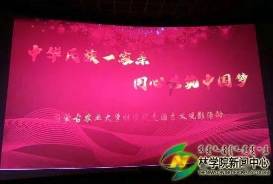 五星红旗迎风飘扬，我爱祖国游戏画面